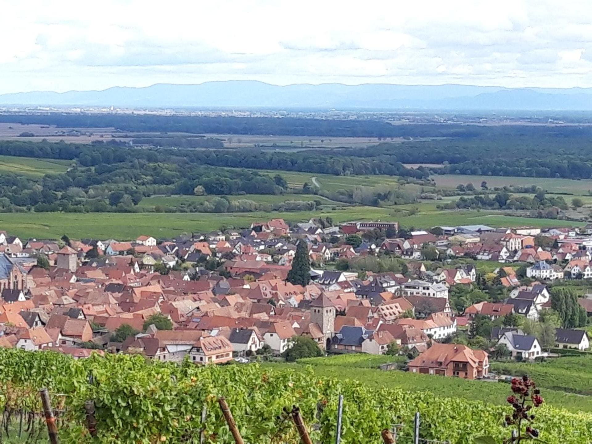 Vignobles et Vosges autour du village